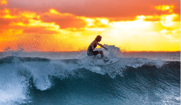 How to surf the waves of digital disruption to success